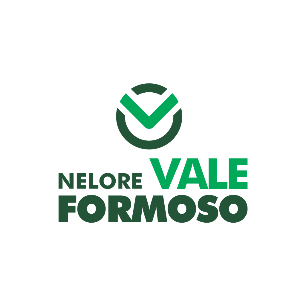 Logo da company parceira Nelore Vale Formoso